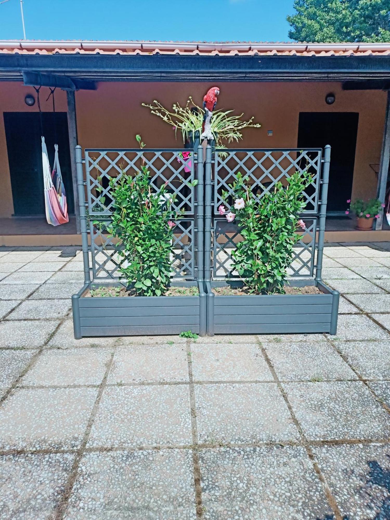 Agriturismo Il Cipresso Vada Exterior photo